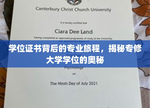 学位证书背后的专业旅程，揭秘专修大学学位的奥秘
