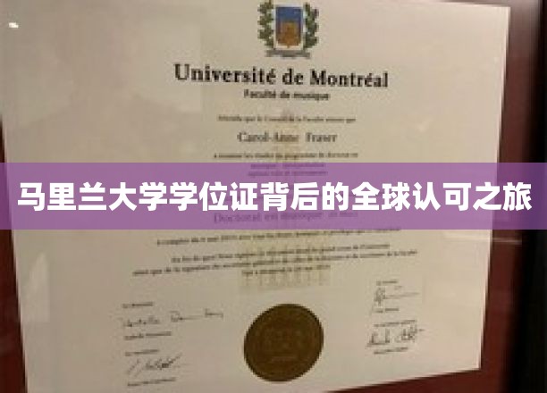 马里兰大学学位证背后的全球认可之旅
