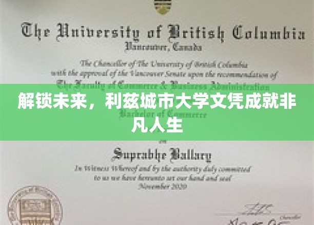 利兹大学文凭助你迈向非凡未来之路