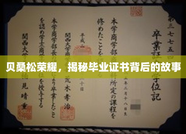 贝桑松荣耀揭秘，毕业证书背后的不凡历程
