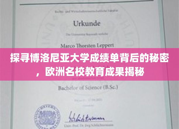 揭秘博洛尼亚大学成绩单，欧洲教育成果的秘密档案