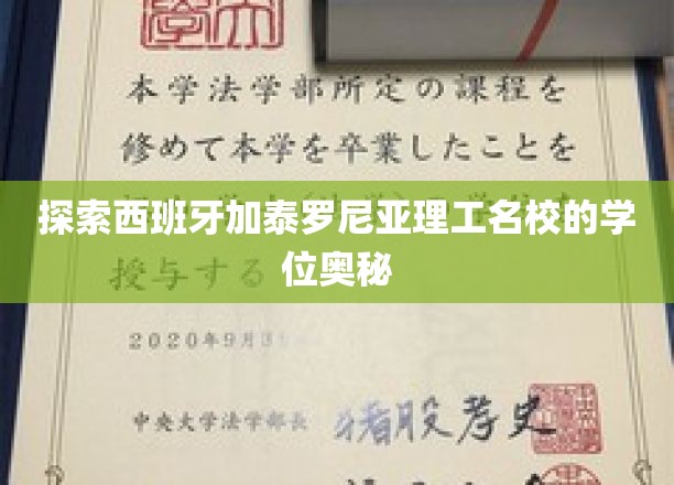解码加泰罗尼亚理工名校的卓越学位之旅