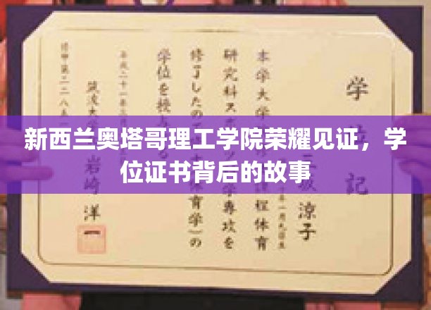 奥塔哥理工学院荣耀时刻，学位证书背后的不凡历程