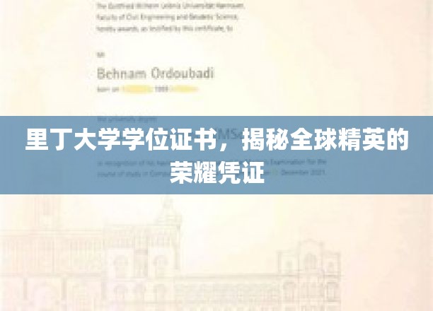 里丁大学学位证书，揭秘全球精英的荣耀凭证