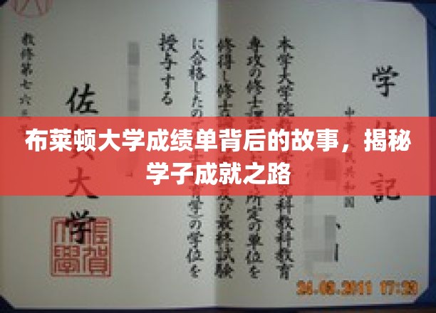 布莱顿大学成绩单背后的故事，揭秘学子成就之路
