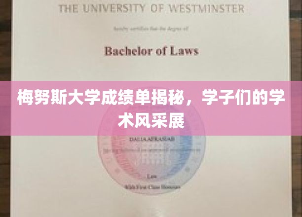 梅努斯大学成绩单揭秘，学子们的学术风采展