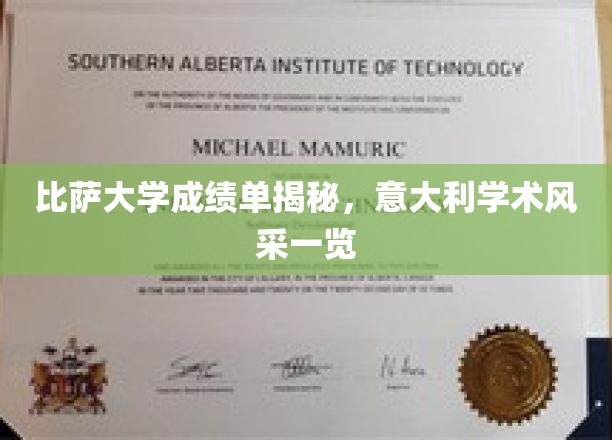 比萨大学成绩单解读，意大利学术风采全析