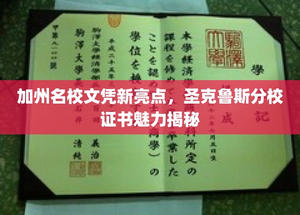 加州名校文凭新亮点，圣克鲁斯分校证书魅力揭秘