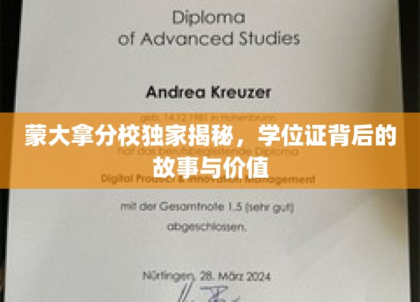 蒙大拿分校独家揭秘，学位证背后的故事与价值