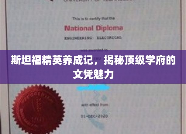 斯坦福传奇，解码顶尖学府的学历光环
