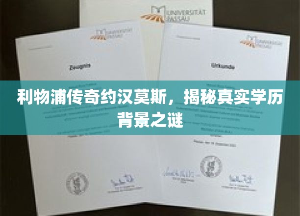 揭秘利物浦传奇球星约汉莫斯，学历之谜背后的非凡人生
