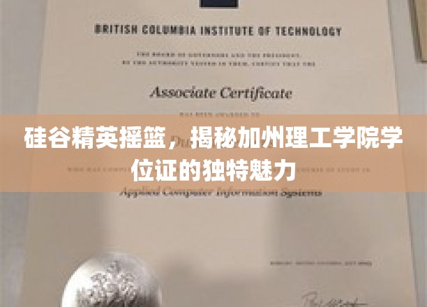 解码硅谷顶尖学府，加州理工学院学位证的非凡魅力