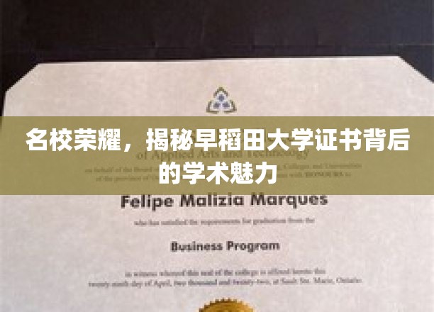 名校荣耀，揭秘早稻田大学证书背后的学术魅力