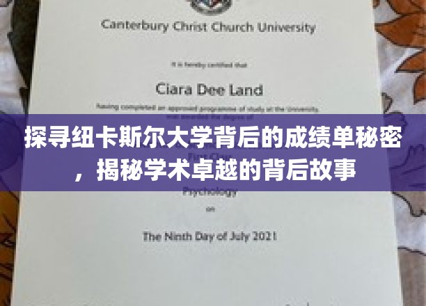 探寻纽卡斯尔大学背后的成绩单秘密，揭秘学术卓越的背后故事