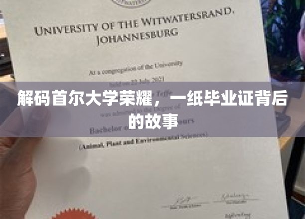 探寻首尔大学辉煌足迹，毕业证书背后的传奇篇章