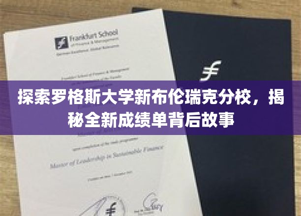 罗格斯大学新布伦瑞克分校揭秘，成绩单背后的革新之路