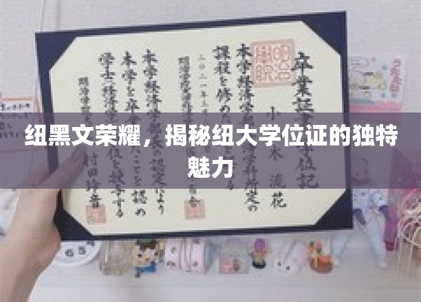 纽大学位证的神秘面纱，纽黑文荣耀下的独特风采