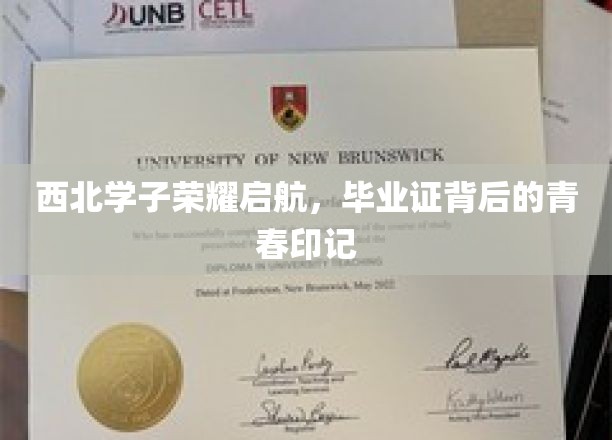 青春足迹闪耀西北，学子梦想翱翔起航