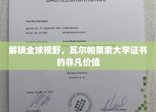 跨越国界，瓦尔帕莱索大学证书引领国际职场新高度