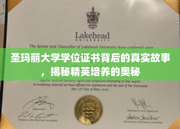 圣玛丽学府学位背后的传奇，探寻精英教育的秘密通道
