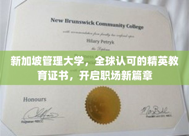驾驭未来职场，新加坡管理大学精英证书助你一跃起飞