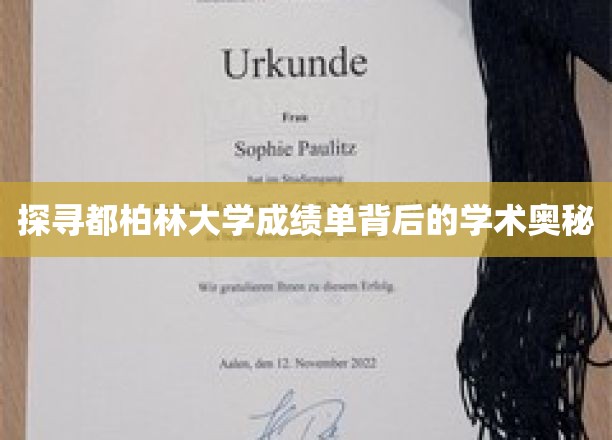 探寻都柏林大学成绩单背后的学术奥秘