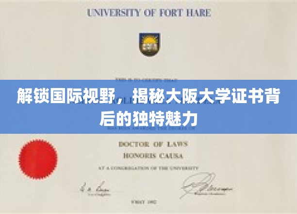 大阪大学证书，开启全球视野的钥匙，独特魅力一探究竟