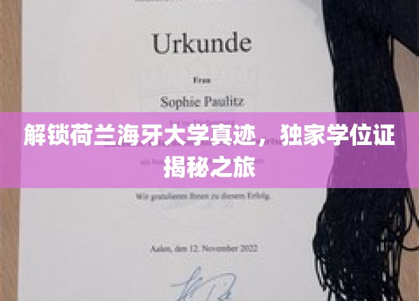 荷兰海牙大学学位证探秘，独家揭秘学位背后的故事