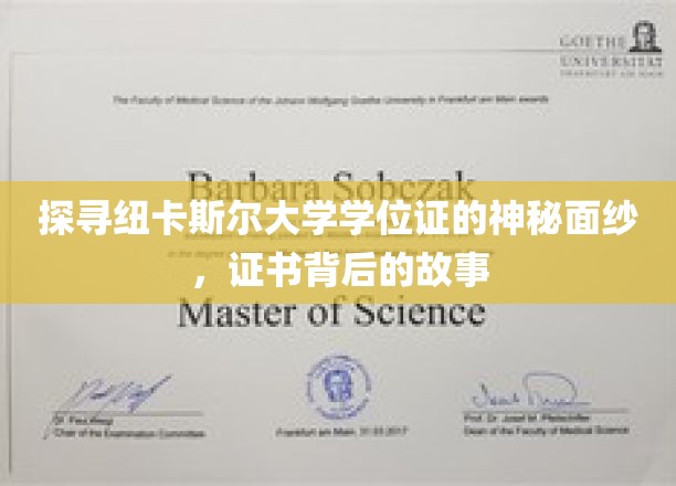 解码纽卡斯尔大学学位证，揭开证书背后的传奇篇章
