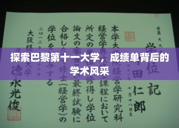 巴黎第十一大学揭秘，探寻成绩单背后的学术魅力