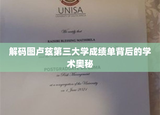 解码图卢兹第三大学成绩单背后的学术奥秘