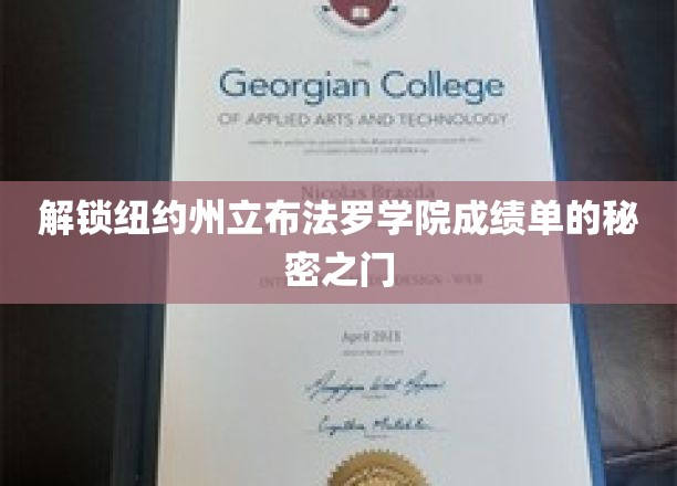 揭开纽约州立布法罗学院成绩单的神秘面纱