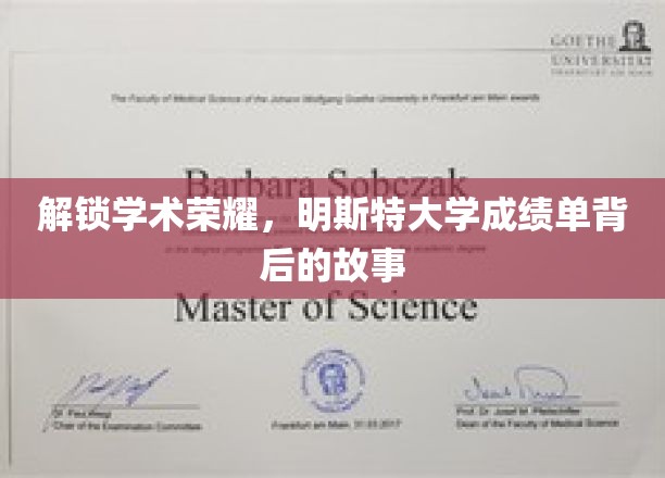 探寻明斯特大学卓越成绩背后的秘密之旅