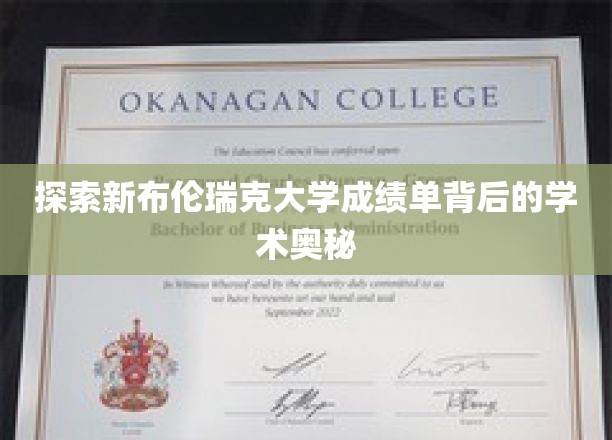 解锁新布伦瑞克大学成绩单的学术秘密面纱