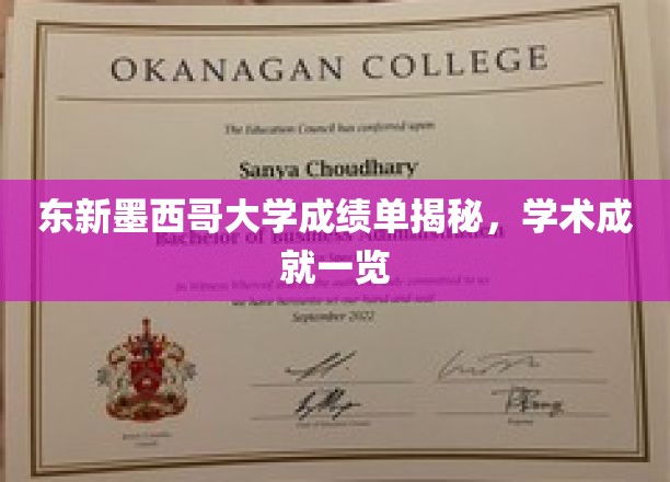 解码东新墨西哥大学学术荣耀，成绩单背后的卓越成就