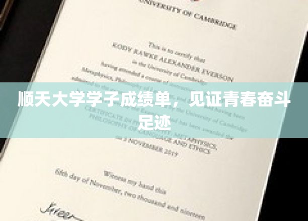 青春足迹，顺天大学学子成绩单背后的奋斗故事