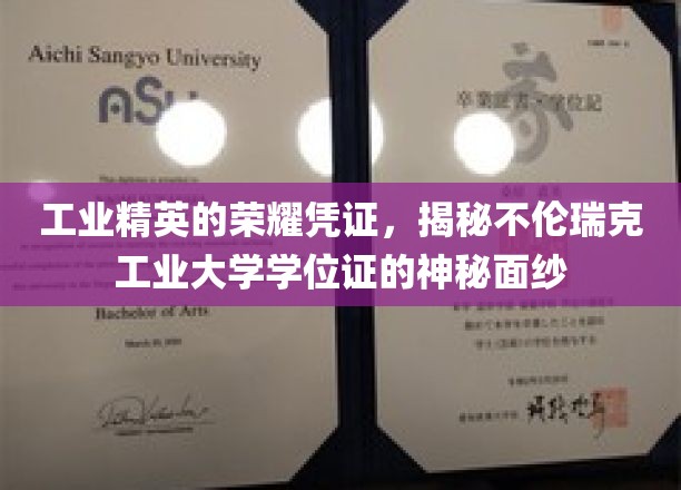 不伦瑞克工业大学学位证，揭开工业精英荣耀背后的独特印记