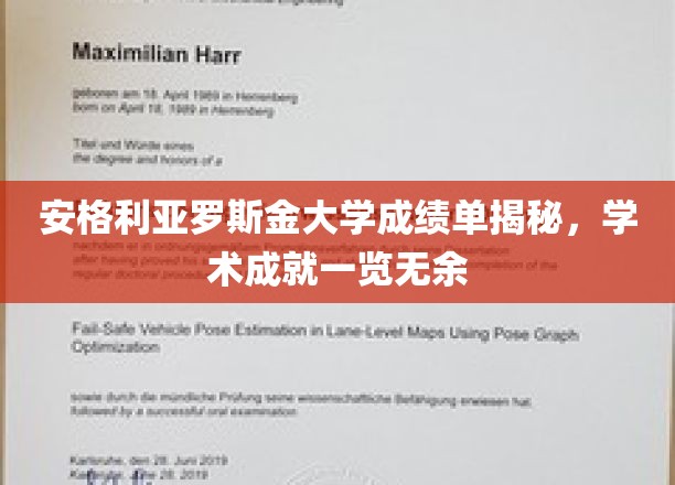 安格利亚罗斯金大学成绩单揭秘，学术成就一览无余