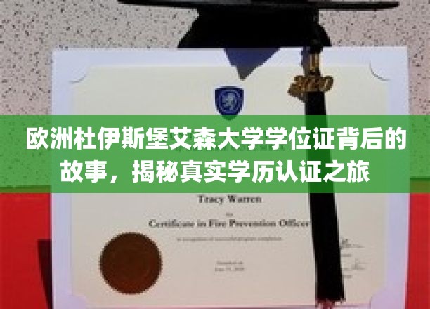 欧洲杜伊斯堡艾森大学学位证寻踪记，揭秘学历认证背后的非凡旅程