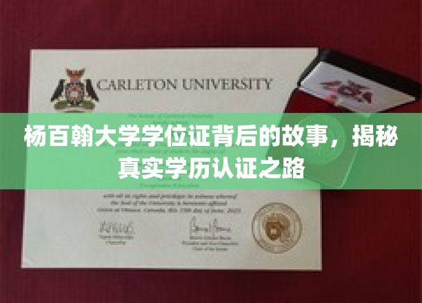 杨百翰大学学位证之谜，深度探寻学历认证背后的真实历程