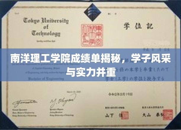 南洋理工大学成绩单揭秘，学子风采与实力并重