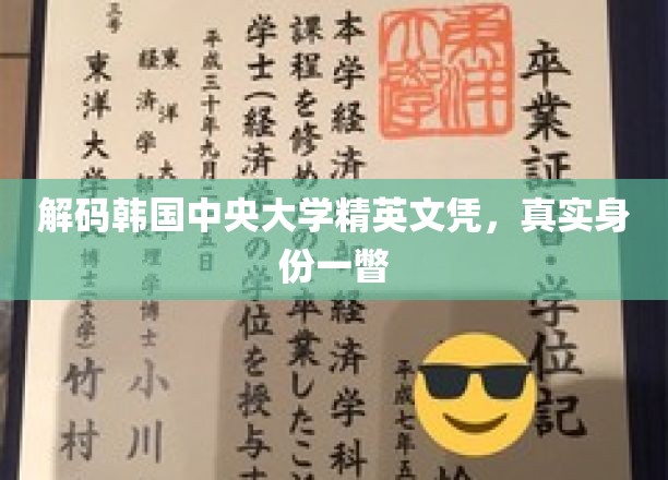 揭开韩国中央大学卓越证书背后的精英风采