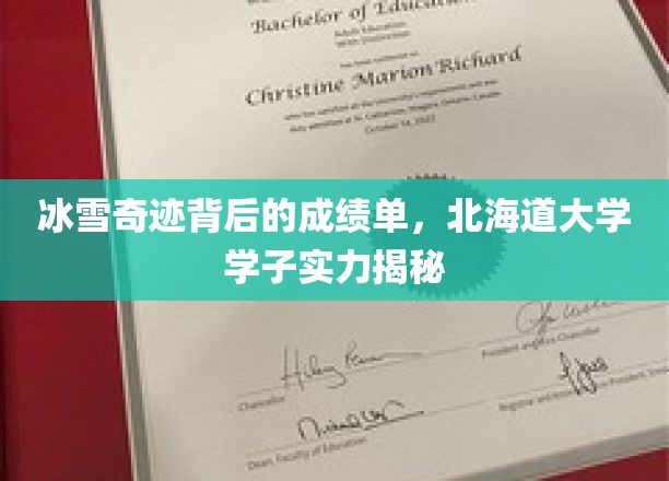 冰雪奇迹背后的成绩单，北海道大学学子实力揭秘