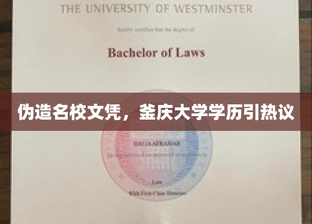 伪造名校光环，釜庆大学学历风波引社会关注