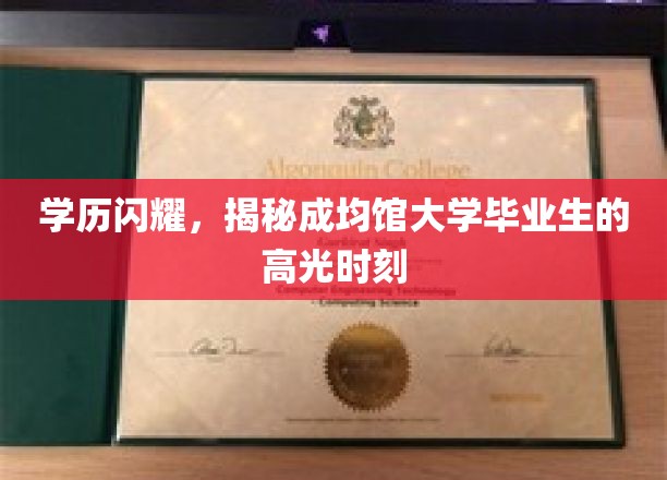 学历闪耀，揭秘成均馆大学毕业生的高光时刻