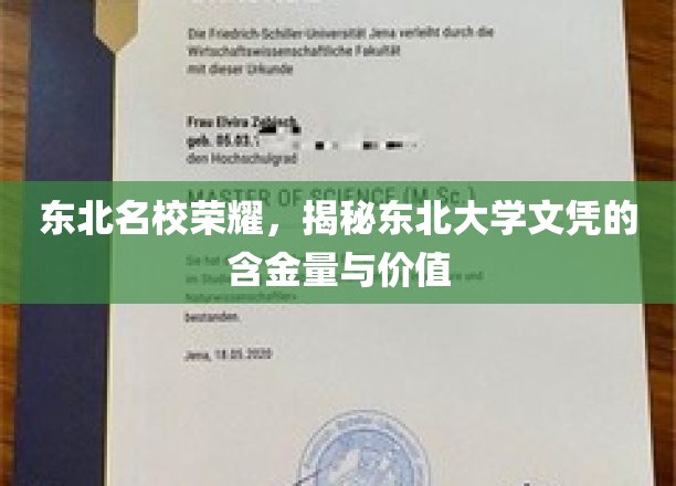 东北明珠闪耀，揭秘东北大学文凭的非凡魅力与职场优势