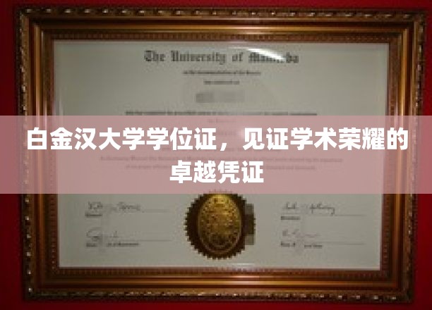 白金汉大学学位证书，见证学术荣耀的卓越凭证