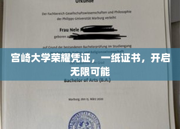 宫崎大学荣耀凭证，一纸证书，开启无限可能