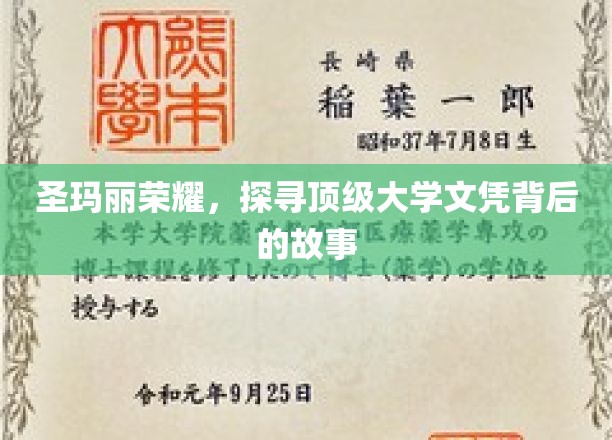 揭开圣玛丽荣耀，探寻顶级大学文凭背后的传奇旅程