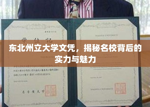 解码东北州立，名校光环下的实力与风采